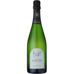 Champagne Philippe Gonet Signature Blanc De Blancs | Champagne